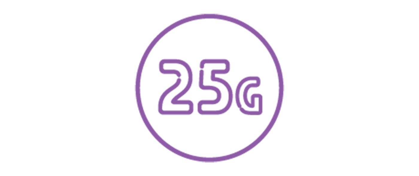 Icon: 25 grams, neon style